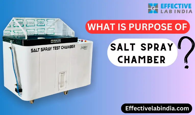 What is the purpose of the Salt spray test?